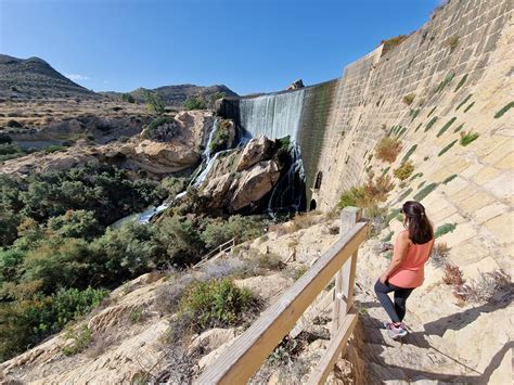 Ruta por el Pantano de Elche, todo lo que tienes que。